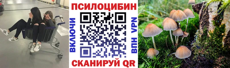 мориарти наркотические препараты  дарнет шоп  Абакан  Псилоцибиновые грибы мухоморы 